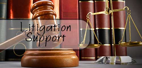 litigation-support